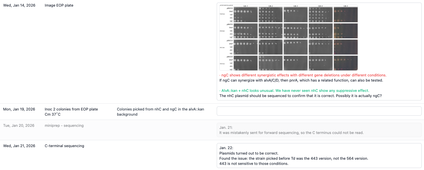 Lab Notes 细节预览