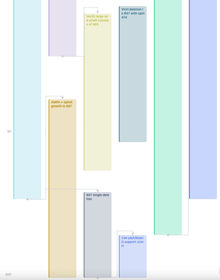 Lab Notes 时间线与导出预览