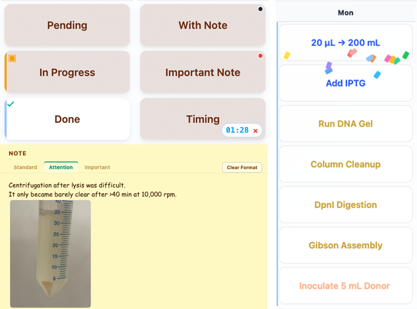 Cell Planner 详细状态控制预览
